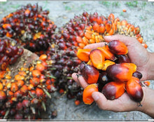 Load image into Gallery viewer, Palm nut Butter (Cream)